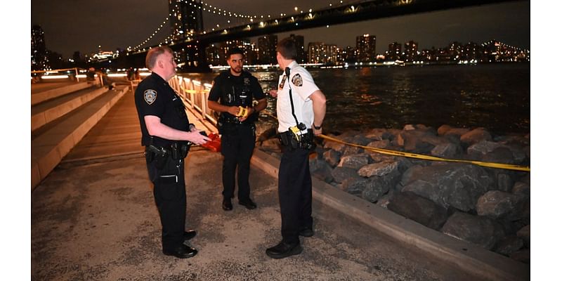 NYPD investigating human remains found at Brooklyn Bridge Park for a 4th time