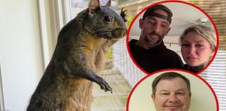 Peanut the Squirrel, Town Official Refuses to Call Governor 'Over Dead Squirrel'