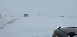 Roads closed in northeast New Mexico due to winter storm and blizzard conditions