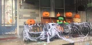 Halloween decorations, especially fake spider webs, can cause problems for wildlife [Lancaster Watchdog]