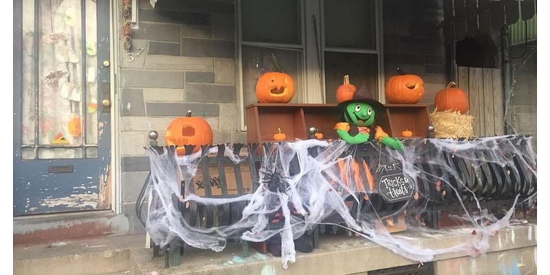 Halloween decorations, especially fake spider webs, can cause problems for wildlife [Lancaster Watchdog]