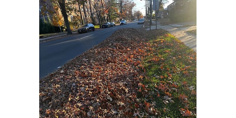 Fire Burns Along Parkway In Bergen County Amid NJ Drought