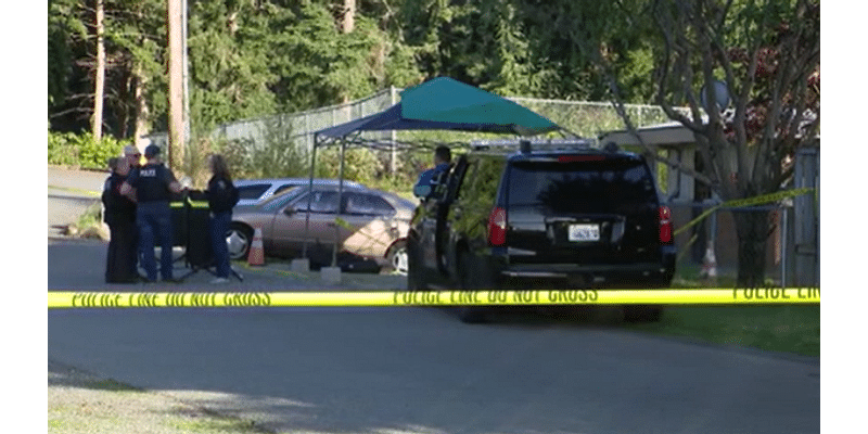 Man killed in Renton stabbing, suspect released 27 hours after arrest