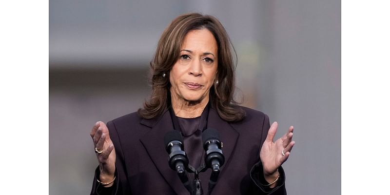 Harris says nation must accept election results while urging supporters to keep fighting