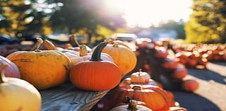 Here’s your guide to 6 anything-but-average pumpkin patches in the greater Austin area