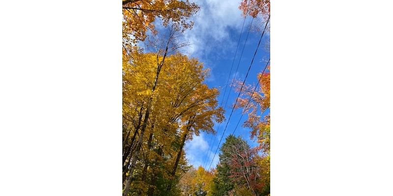 Fantastic fall stretch ahead for CNY!