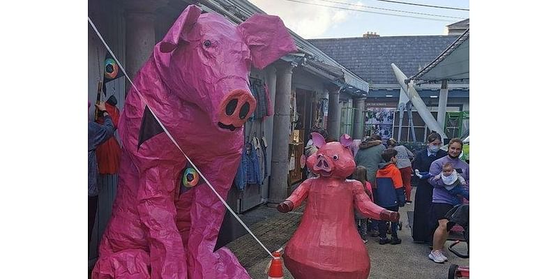 Pigtown Festival to go ahead as Limerick Council confirms funding for events