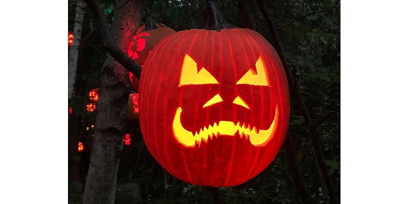 Trick-Or-Treat 2024: Tips To Stay Safe In Rhode Island This Halloween