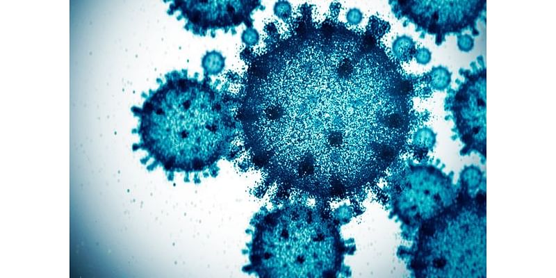 New Covid variant XEC gains ground as signs show virus is on the rise again