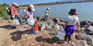 Hundreds of volunteers around the bay show up for 40th Coastal Cleanup Day