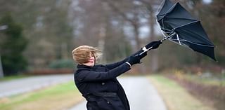 Storm Ashley: Met Éireann issues nationwide Status Yellow wind warning as well as Orange alert for two counties