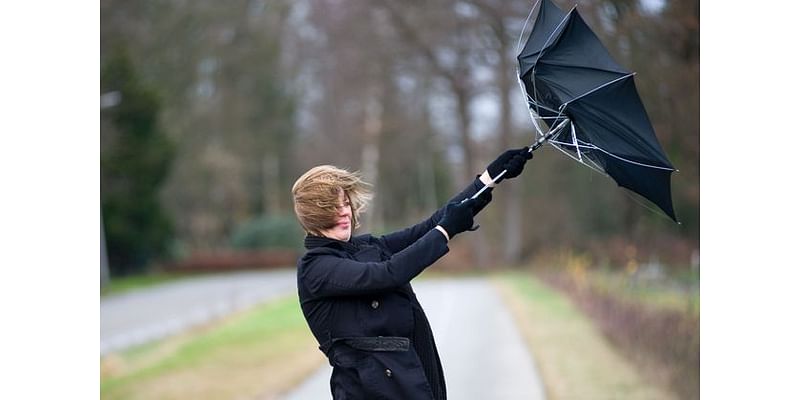 Storm Ashley: Met Éireann issues nationwide Status Yellow wind warning as well as Orange alert for two counties