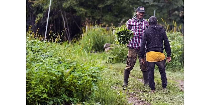 In New Hampshire, African refugees get a plot of their own to farm crops from home