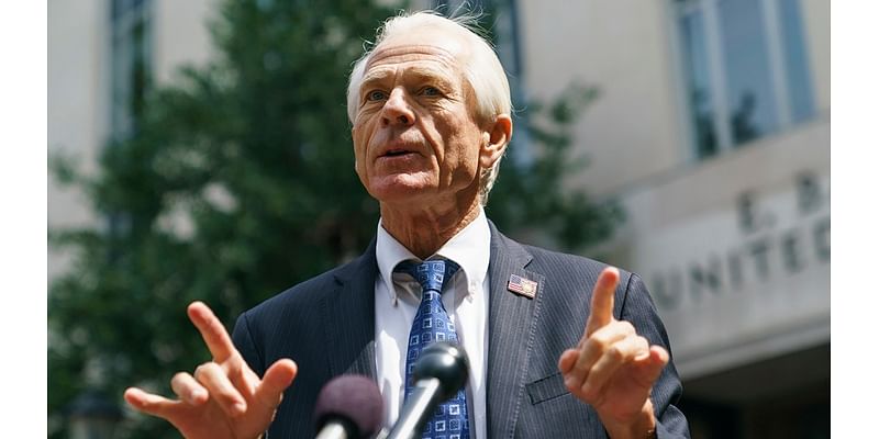 Navarro: ‘We’re not going to have a Trump Cabinet’ with Thune or Cornyn leading Senate GOP