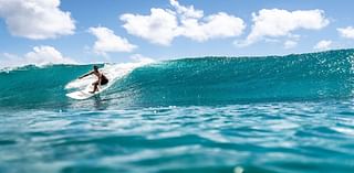 New Surfing Series Helps Hawaii Locals Earn $31 Million as North Shore Lifeguards’ Dangerous Job Gets Highlighted