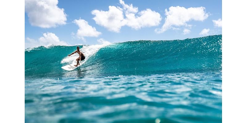 New Surfing Series Helps Hawaii Locals Earn $31 Million as North Shore Lifeguards’ Dangerous Job Gets Highlighted