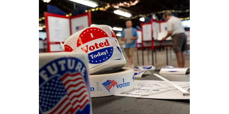 Voter guide: Statewide races in Michigan