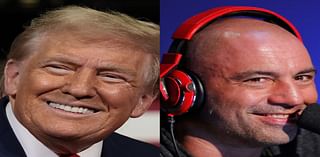 Joe Rogan endorsed Donald Trump, saying Elon Musk made a 'compelling case' for the former president