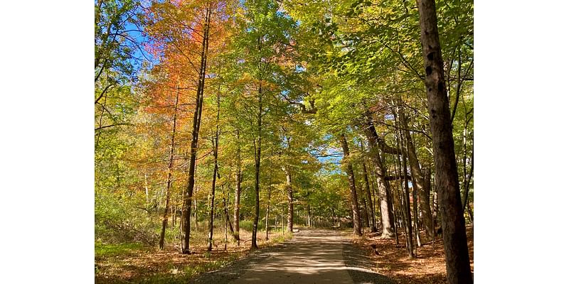 Take a fall color stroll in this thriving 80-acre forest