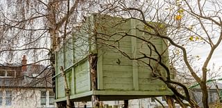 Locals blast neighbour for building an illegal TREE HOUSE overlooking their homes and fume 'the council are doing nothing'