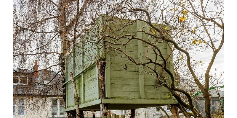 Locals blast neighbour for building an illegal TREE HOUSE overlooking their homes and fume 'the council are doing nothing'