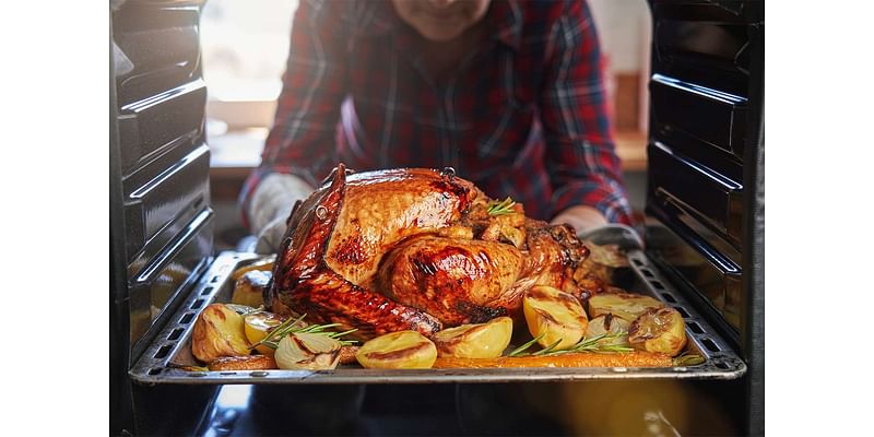 A Turkey Farmer Says This Is the Rolls-Royce of Meat Thermometers