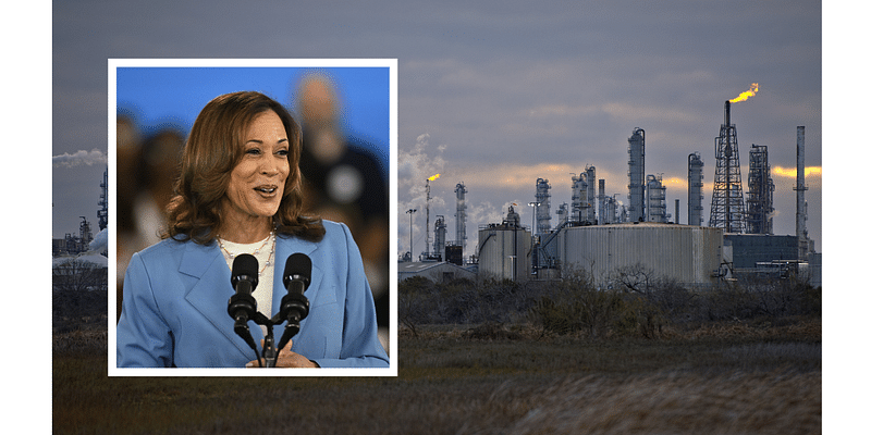 Harris touts oil production during 2024 run after saying companies need to 'pay the price' for climate change