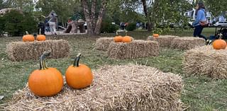 Harvest Fest offers fun activities in celebration of local growers