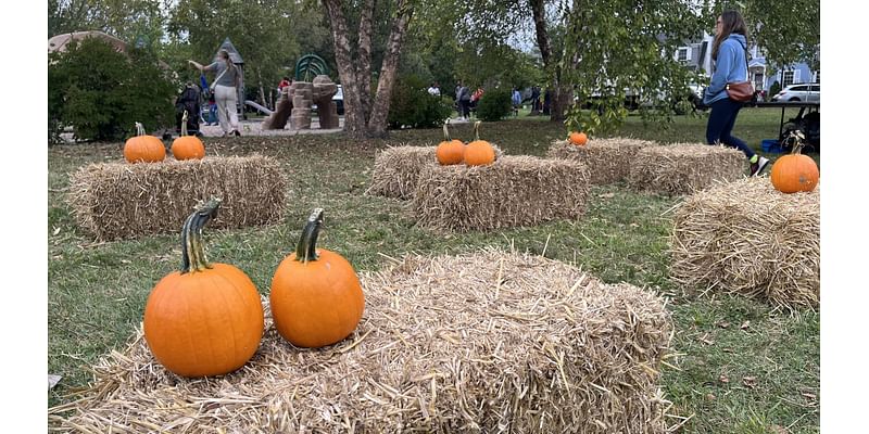 Harvest Fest offers fun activities in celebration of local growers