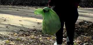 Indigenous nonprofit hosts War Eagle Park clean up