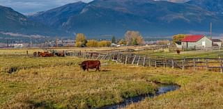 344-acre Ellison Ranch preserved through conservation easement