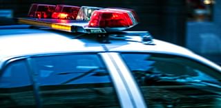 Waterbury man arrested in stolen car investigation