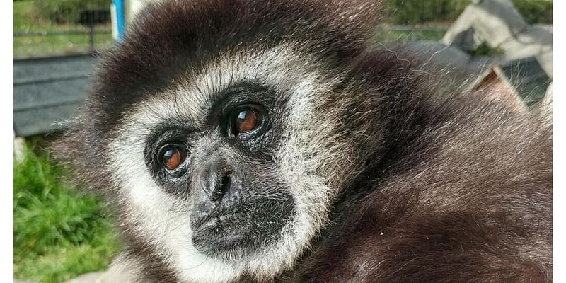 Farewell, Yule: Racine Zoo's oldest animal dies