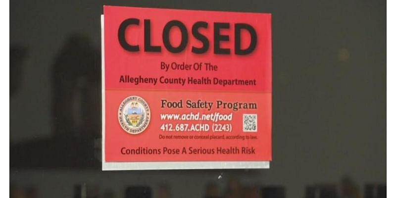 Pittsburgh bar ordered to close after inspector finds "mold-like substance" on food