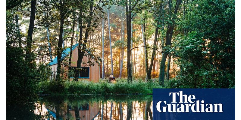 From cool cabins to country houses: six of Britain’s best forest escapes