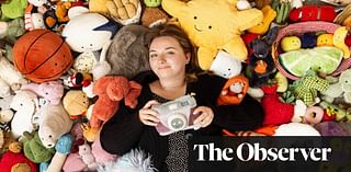 ‘I have to have one of those’: plushie super-fans explain the appeal