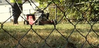 Cincinnati is in a weeks-long drought: What should you do about your lawn?