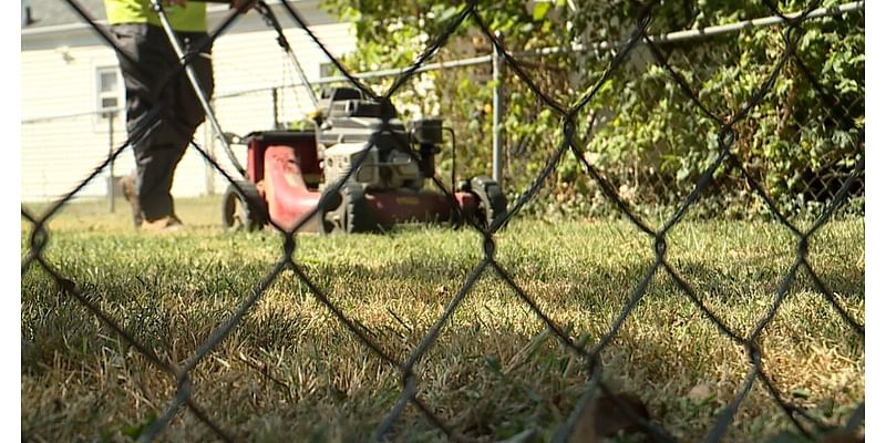 Cincinnati is in a weeks-long drought: What should you do about your lawn?