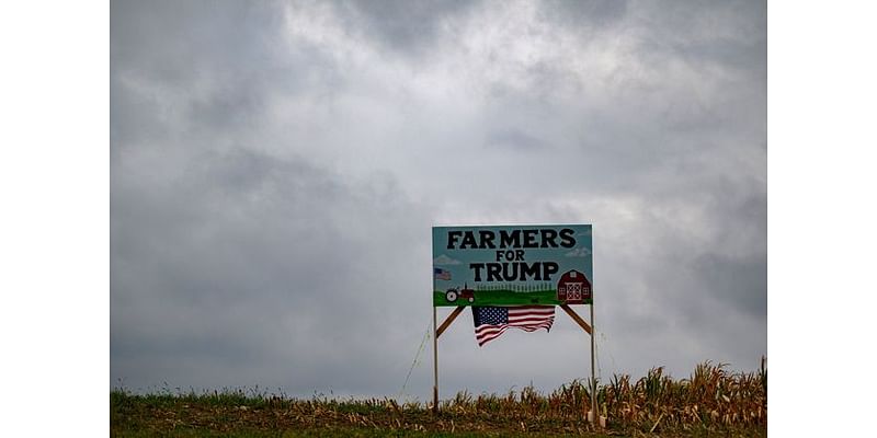 Trump's Return Set to Upend Trade for American Farmers Yet Again