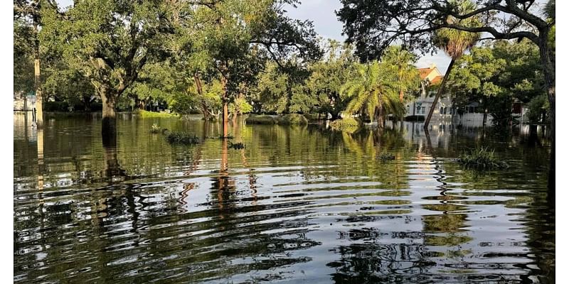 Tampa wants to look at what went wrong with the stormwater system during the hurricanes