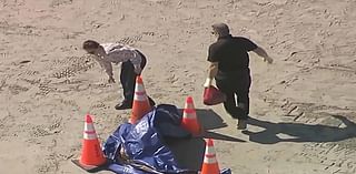 Human Head Washes Ashore on Popular Tourist Beach in Florida