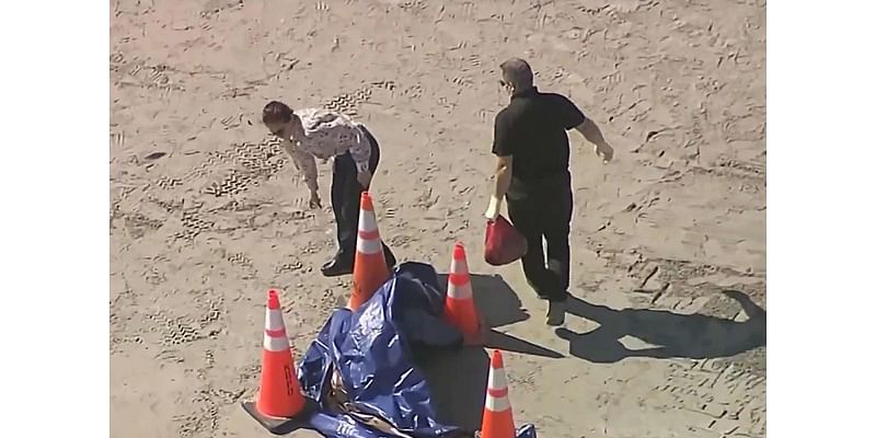 Human Head Washes Ashore on Popular Tourist Beach in Florida