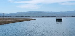 This unexpected gem for bird watchers offers uncommon, even rare, sightings in Stanislaus