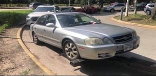 Hermann Park visitors claim fake official caused several cars to be towed