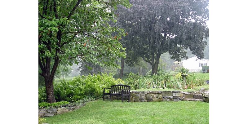 Why ‘normal’ rainfall wasn’t enough for our 2024 gardens