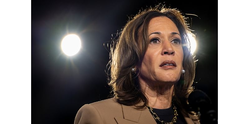 Kamala Harris’s Momentum Is Gone