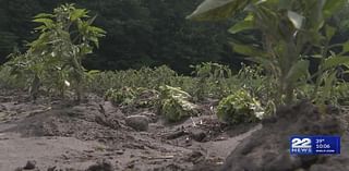 Local farmers impacted by severe drought