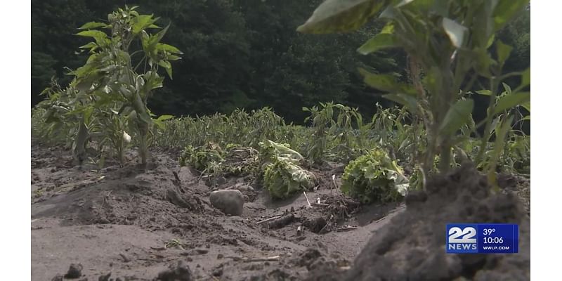 Local farmers impacted by severe drought