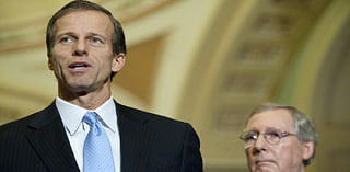 Senate Republicans elect John Thune as majority leader