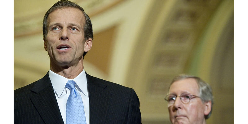 Senate Republicans elect John Thune as majority leader